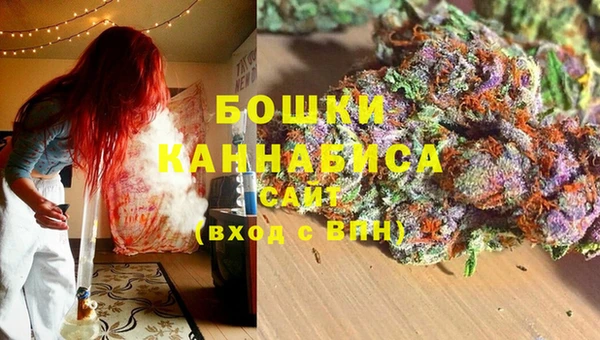 крисы Слюдянка